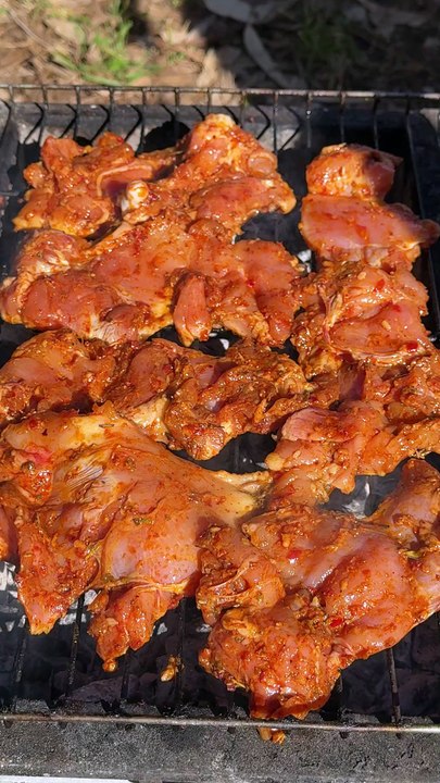 شيش طاووق على الفحم و اجواء العيد في تركية مدينة مرسين (8)