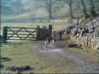 Survivors - 304 [couchtripper][U]