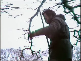 Survivors - 305 [couchtripper][U]