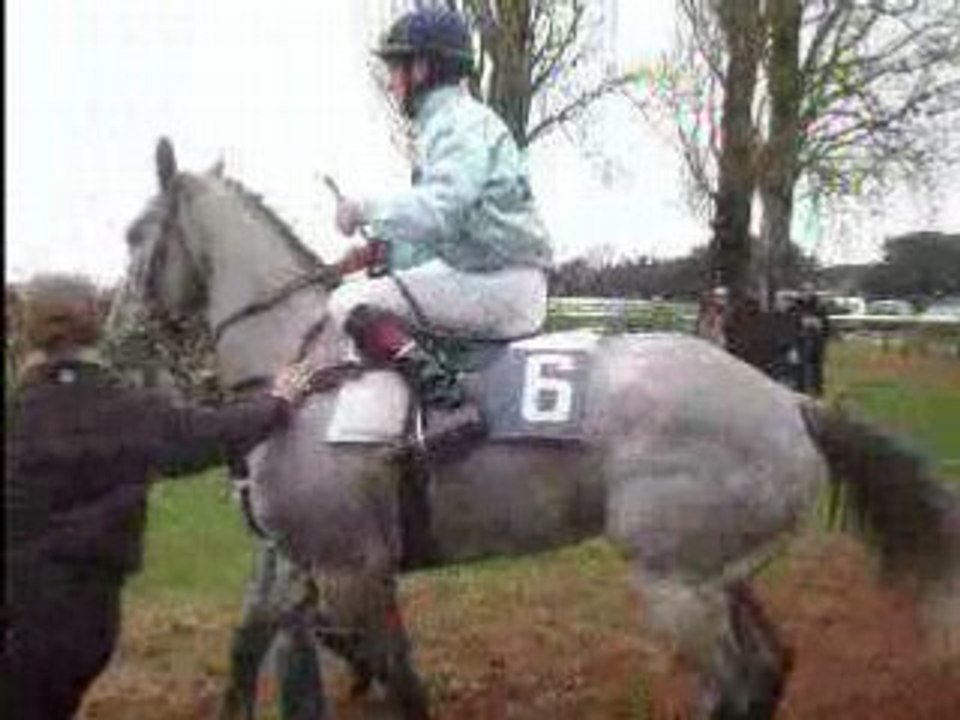 chevaux de course a machecoul
