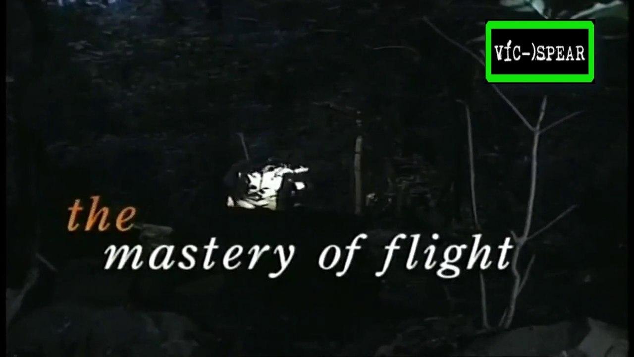 La Vida de las Aves: El Arte de Volar - Documental 1998 - Español Latino - Episodio 2