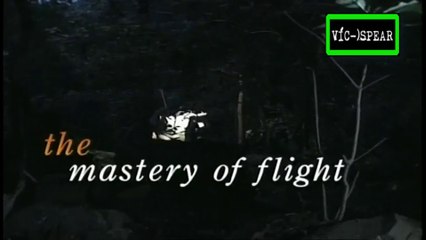 La Vida de las Aves: El Arte de Volar - Documental 1998 - Español Latino - Episodio 2