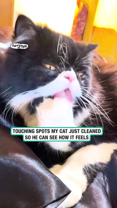 Touching where Bubbles just cleaned