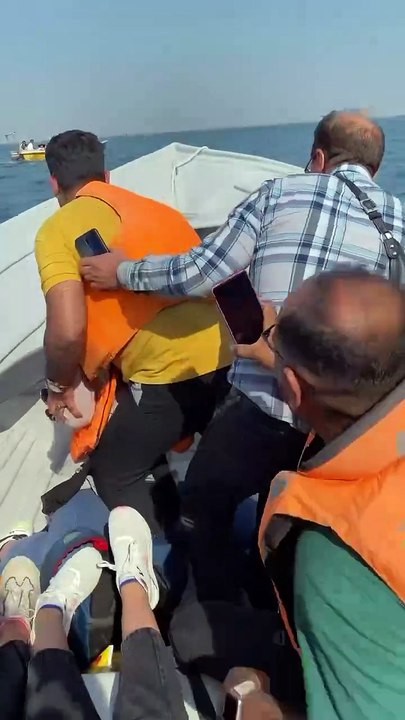 Saleemoffical presentation- visitor dolphin 🐬 ♥️ | #dolphin