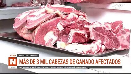 LLUVIAS AFECTA GANADO