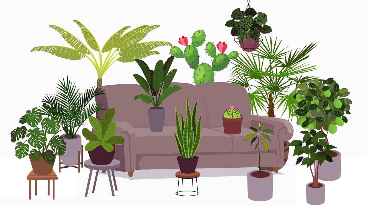 🌴 7 fruits exotiques mangés 7 plantes tropicales à faire pousser 🍍