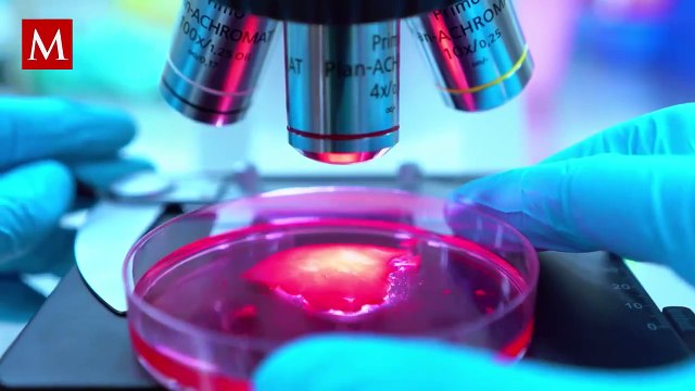 Esto dice la ciencia sobre el efecto favorable que puede tener la aspirina contra el cáncer