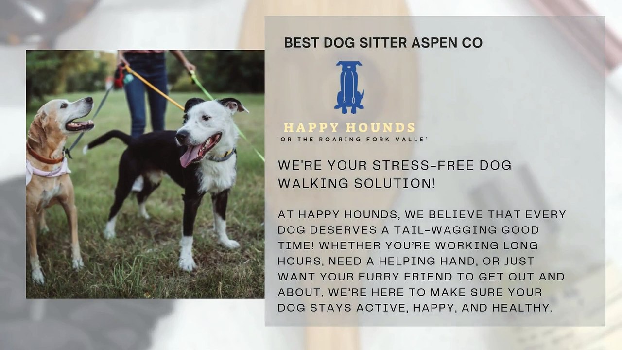 Best Dog Sitter Aspen CO