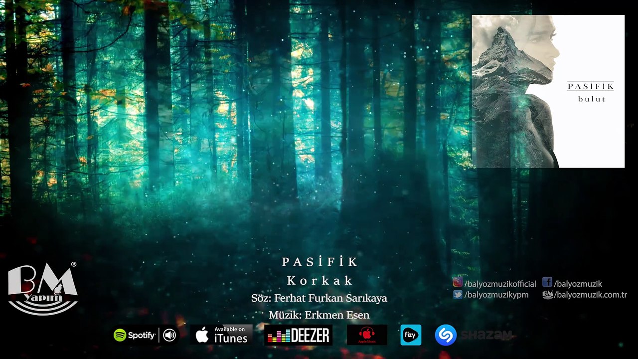Pasifik - Korkak