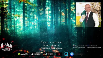 Ünal Aytulum - Memleketim