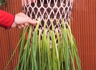 Plant, Play, Repeat! Creative Gardening Ideas You’ll Love!