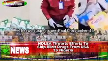 NDLEA Thwarts Efforts To Ship Illicit Drugs From USA To Nigeria