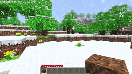 MC Alpha 1.1.2_01 statistics mod that someone made for me. 1st version bug