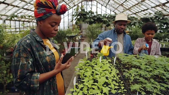 African American Family Using Tablet and Spraying Plants in Greenhouse