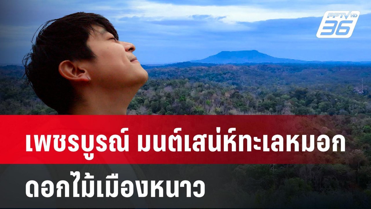 เพชรบูรณ์ "มนต์เสน่ห์ทะเลหมอก ดอกไม้เมืองหนาว"|...