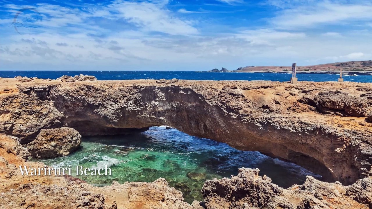 What Makes Wariruri Beach Horseback Riding Tour a Must-Do in Aruba