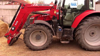 Fertőtlenítéssel és teszteléssel próbálja távol tartani Ausztria a száj- és körömfájást