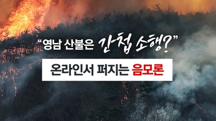 "영남 산불은 '간첩 소행'?" 온라인서 퍼지는 음모론 [앵커리포트] / YTN