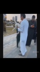 El vínculo inquebrantable entre un gato y un pato que no dejan que nadie los separe