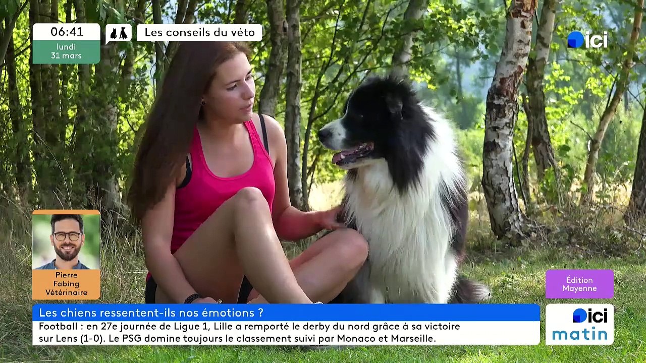 31/03/2025 - ici matin par ici Mayenne en vidéo