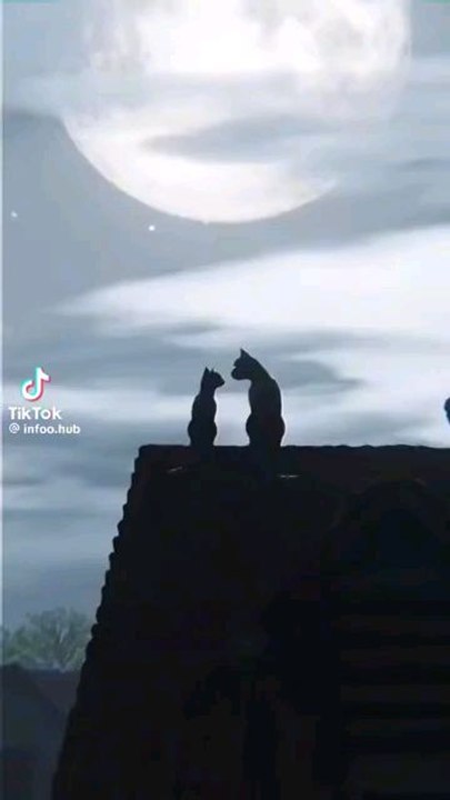 Creepy Facts that will send chills down your spine