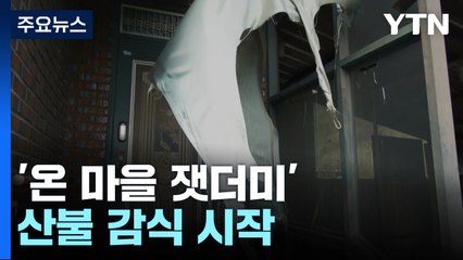 '온 마을 잿더미' 산불 감식 시작...이 시각 안동 / YTN