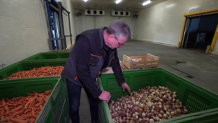 "Je ne peux pas produire à ce prix-là": le plus gros maraîcher du Grand Est jette l'éponge