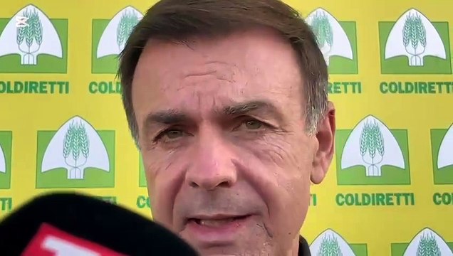 Coldiretti e i dazi Usa, il presidente Prandini: I nostri produttori verrebbero penalizzati