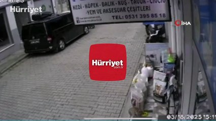 Gülümseyen anlar... Köpek, kedinin mama kabını alıp kaçtı