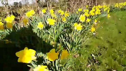 Enjoy the Beautiful Sunny Day at Bantock Park in Wolverhampton ☀️