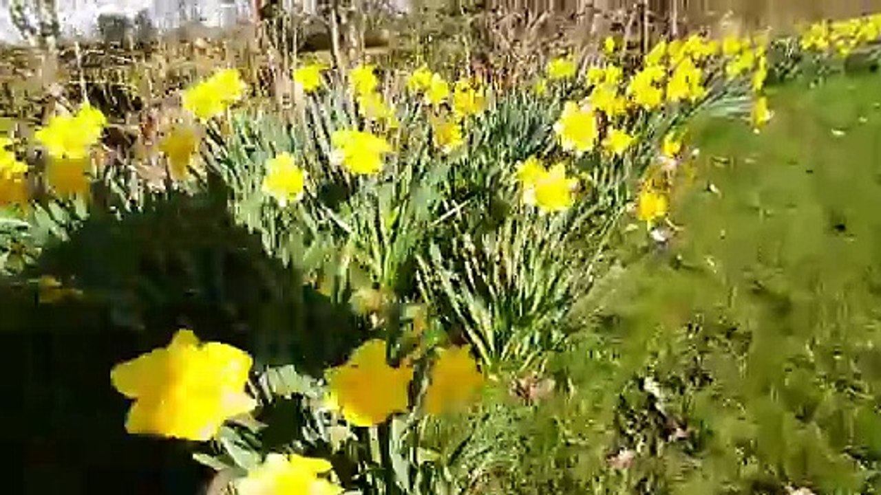Sunny weather in Wolverhampton