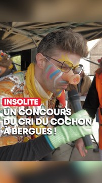 Un incroyable concours du cri du cochon à Bergues ? 🐷