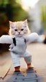 Watch This AI Make Cat 😸 Dance Like Never Before💜😹