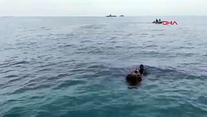 Karadeniz'de yine deniz mayını alarmı!