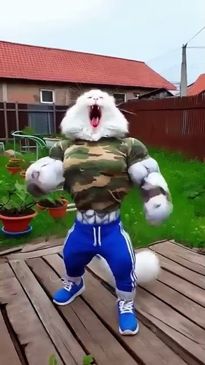 The Kitten_s Mess_ 🐱💧 Digging Trouble and a Soaked Clean-Up 🌊🛁_cattales _catfunny _animation_cat(360P)
