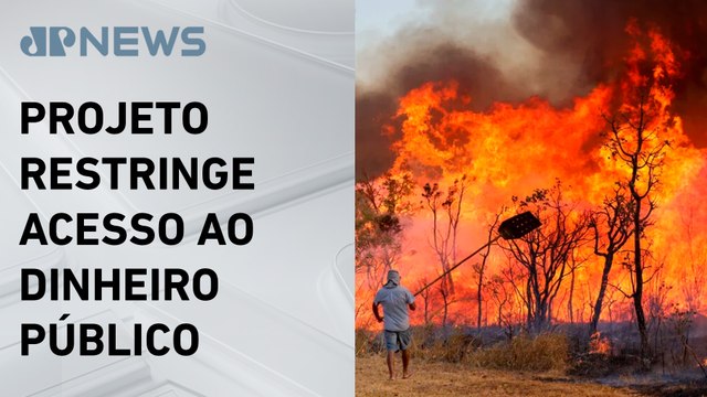 Câmara vota PL de aumento de pena de crimes ambientais