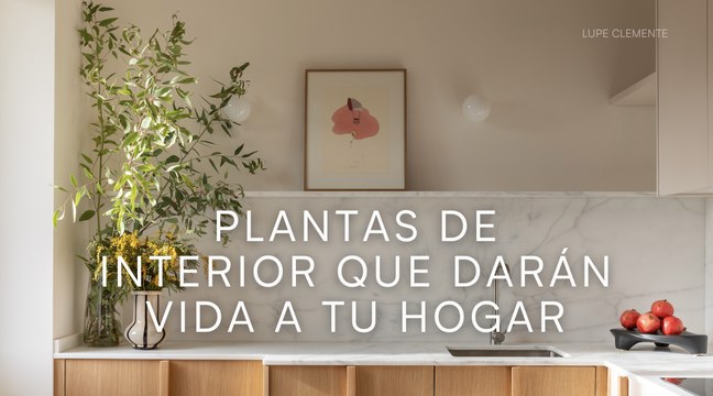 Plantas de interior que darán vida a tu hogar