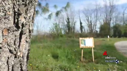 Nel bosco di Brugherio fiorisce il ‘Biodiversity Lab’