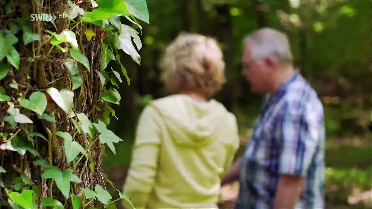 Expedition in die Heimat - Geschichten aus dem Gäu mit Anna Lena Dörr 19.07.2019