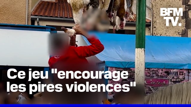 Jeu du cou de l'oie , consistant à décapiter l'animal: l'association animaliste One Voice réclame son interdiction dans l'Aube