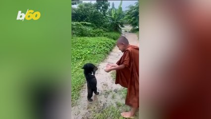 A Must-see Roundup of the Most Amazing Animal Stories From Around the World!