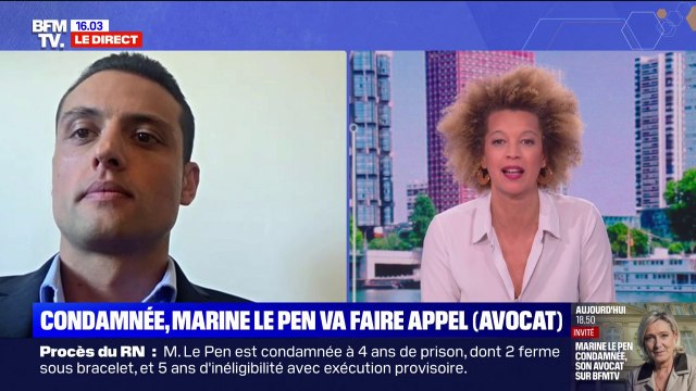 Procès RN: Qu'est-ce qu'on aurait dit si c'était dans un pays comme la Hongrie d'Orban? , s'interroge Aleksandar Nikolic, député européen RN