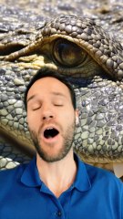 De FAUSSES LARMES ?!