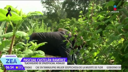 Don Pascual es tlachiquero por herencia y productor de pulque por pasión