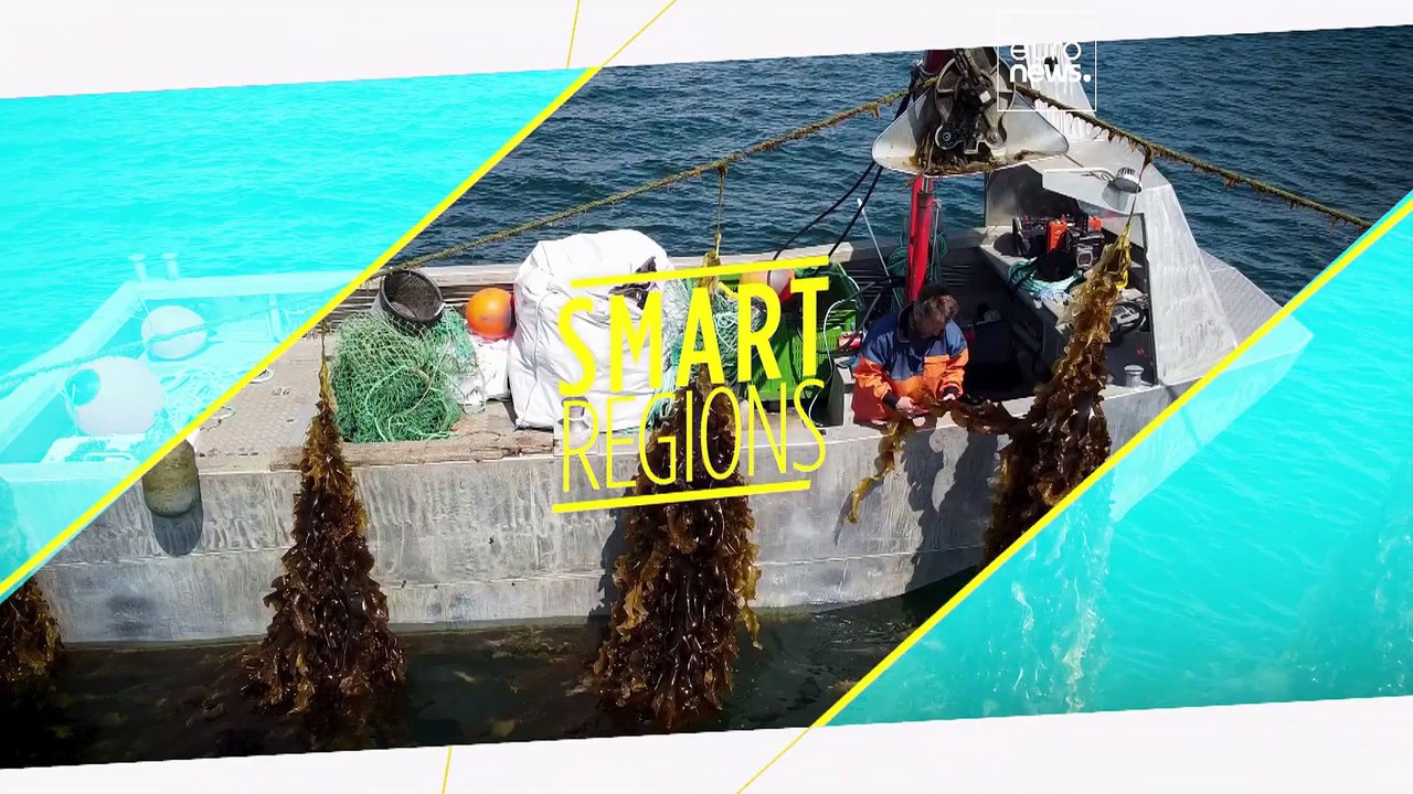 Wo und wie Algen in Europa konsumiert werden