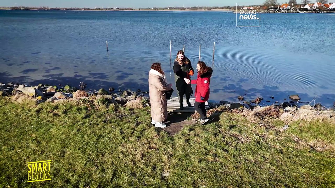 Dänemark und Deutschland fördern die Verwendung von essbaren Algen in einem europäischen Projekt