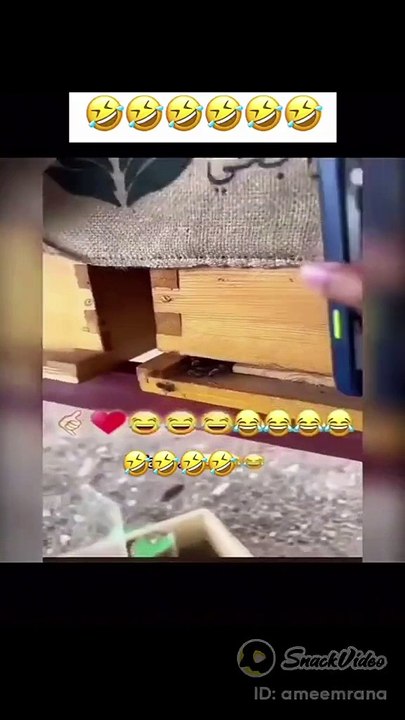 Funny, Entertainment, Enjoy