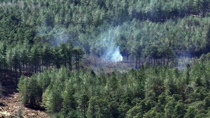 Fire at Moors Valley Country Park 31st March 2025 – video: stunningdrone.com