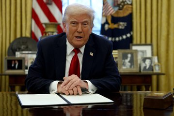 Donald Trump veut abattre cet arbre historique