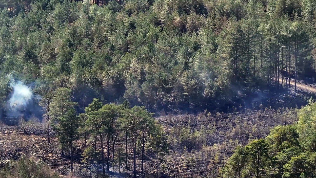 Fire at Moors Valley Country Park 31st March 2025 – video: stunningdrone.com